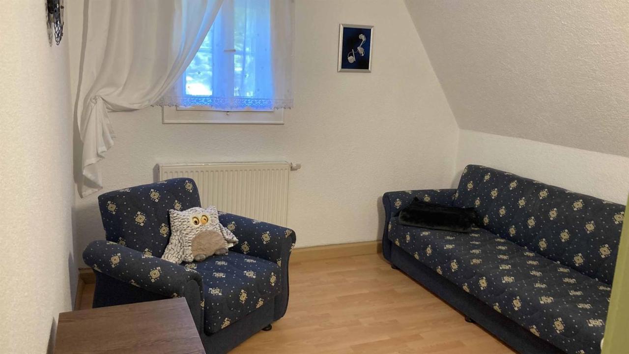 Pension Zur 23 Altenberg Buitenkant foto