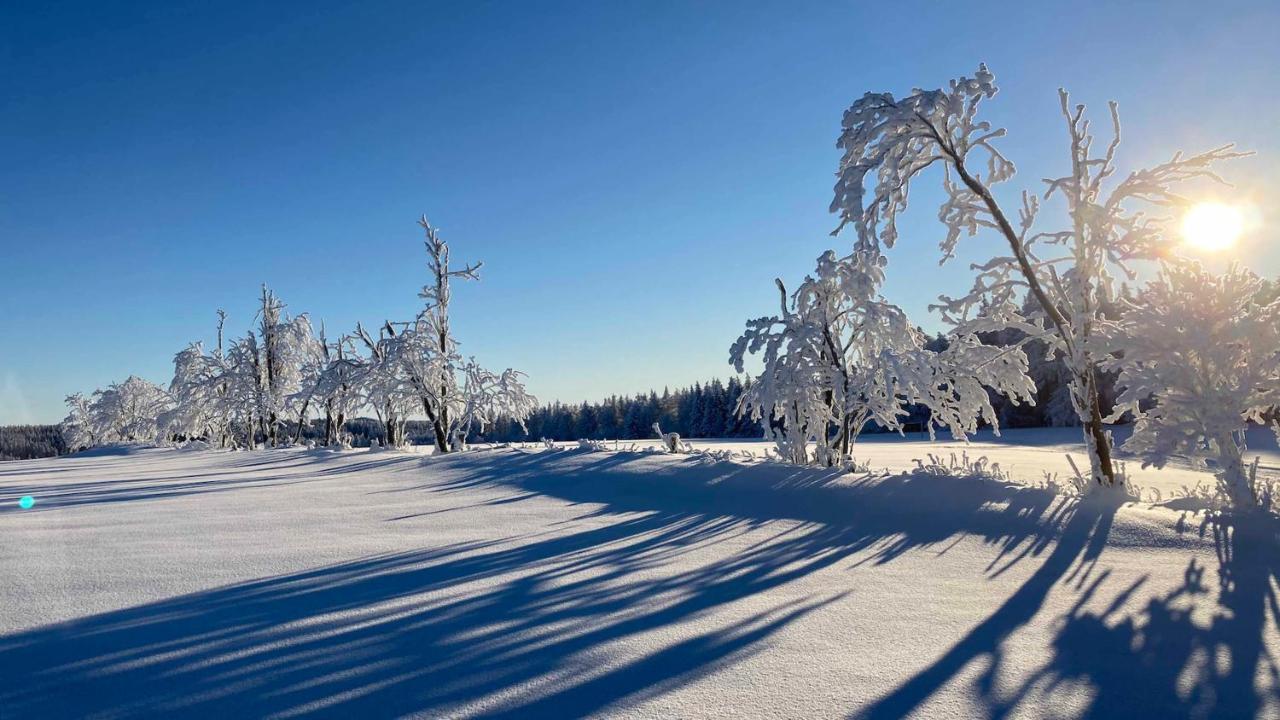 Pension Zur 23 Altenberg Buitenkant foto